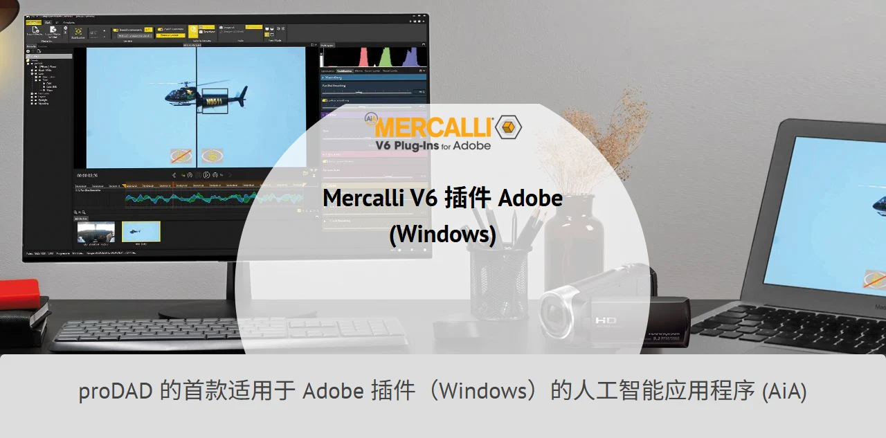 视频防抖插件,视频稳定插件,proDAD Mercalli Pro