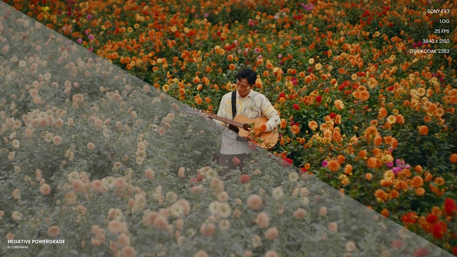 柯达5219胶片色彩