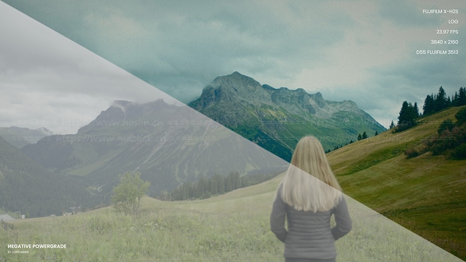 柯达5219胶片色彩