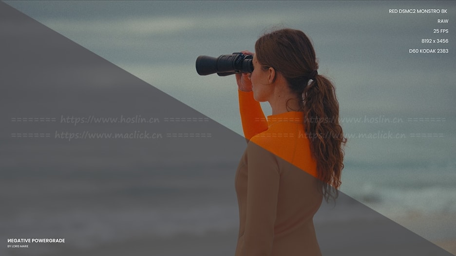 柯达5219胶片色彩