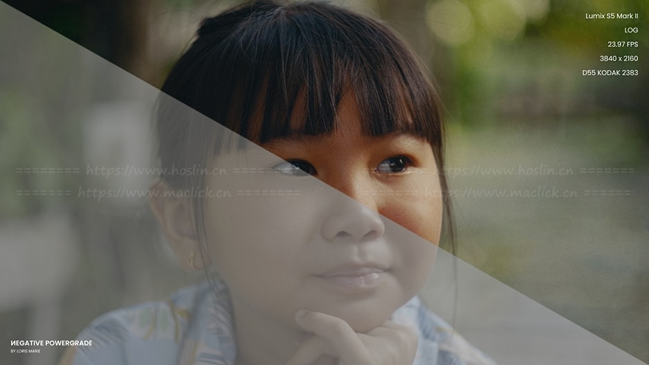 柯达5219胶片色彩