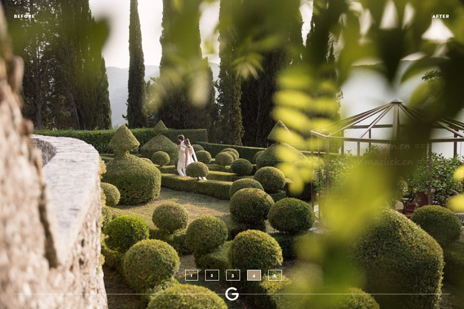 G-Presets - Beba Vowels Presets Pack 04